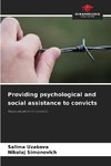 Providing psychological and social assistance to convicts