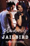 Steamy Jailbird Romance Collection