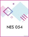 NES 054