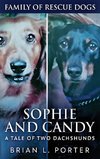 Sophie and Candy - A Tale of Two Dachshunds