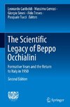 The Scientific Legacy of Beppo Occhialini