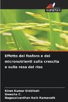 Effetto del fosforo e dei micronutrienti sulla crescita e sulla resa del riso