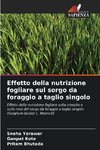 Effetto della nutrizione fogliare sul sorgo da foraggio a taglio singolo