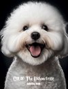 Chloe The Bichon Frise Coloring Book