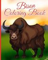 Bison Coloring Book