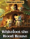 Whitefoot the Wood Mouse