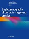 Duplex sonography of the brain-supplying arteries