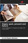 Sogay: past, present and future