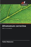 Aframomum corrorima