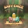 Baby Chick