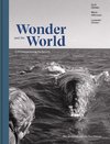 Wonder and the World