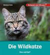 Die Wildkatze