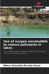 Use of oxygen nanobubble to reduce pollutants in lakes