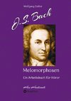 J.S. Bach - Melomorphosen: Früchte der Musikmeditation, sichtbar gemachte Informationsmatrix ausgewählter Musikstücke, Gestaltwerkzeuge für Musikhörer; ohne Verwendung von Noten/Partituren