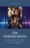 Die Inobhutnahme