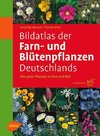 Bildatlas der Farn- und Blütenpflanzen Deutschlands