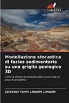 Modellazione stocastica di facies sedimentarie su una griglia geologica 3D