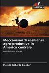 Meccanismi di resilienza agro-produttiva in America centrale