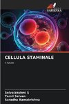 CELLULA STAMINALE