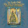 The Little Owl Who Went To Manhattan And Came Home A Rockefeller