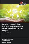 Valutazione di due sistemi di produzione nella coltivazione del sorgo