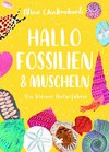 Hallo Fossilien & Muscheln