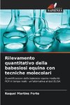 Rilevamento quantitativo della babesiosi equina con tecniche molecolari