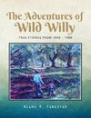 The Adventures of Wild Willy