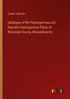 Catalogue of the Phænogamous and Vascular Cryptogamous Plants of Worcester County, Massachusetts