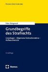 Grundbegriffe des Strafrechts