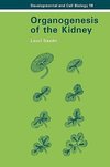 Organogenesis of the Kidney