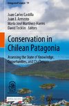 Conservation in Chilean Patagonia