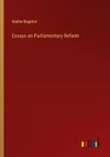 Essays on Parliamentary Reform