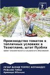 Proizwodstwo tomatow w teplichnyh uslowiqh w Tezütlane, shtat Puäbla