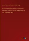 Illustrated Catalogue of the Collections Obtained from the Indians of New Mexico and Arizona in 1879