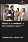 Giustizia organizzativa