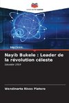 Nayib Bukele : Leader de la révolution céleste