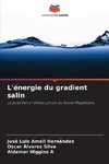 L'énergie du gradient salin