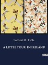 A LITTLE TOUR  IN IRELAND