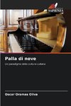 Palla di neve