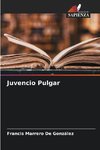 Juvencio Pulgar