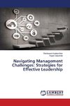 Navigating Management Challenges: Strategies for Effective Leadership