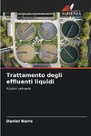 Trattamento degli effluenti liquidi