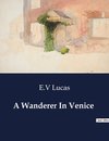 A Wanderer In Venice