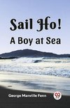 Sail Ho! A Boy at Sea