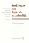 Soziologie der Jugendkriminalität