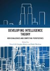 Developing Intelligence Theory