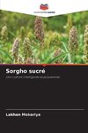 Sorgho sucré