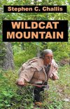 Wildcat Mountain