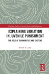 Explaining Variation in Juvenile Punishment